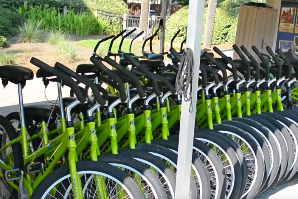 Line of Bikes for Rent at the Sonesta Hilton Head Resort 1000