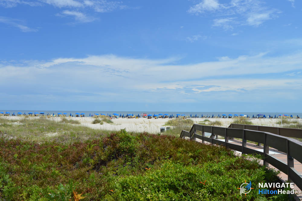 Discover the Best Hilton Head Resorts on the Beach